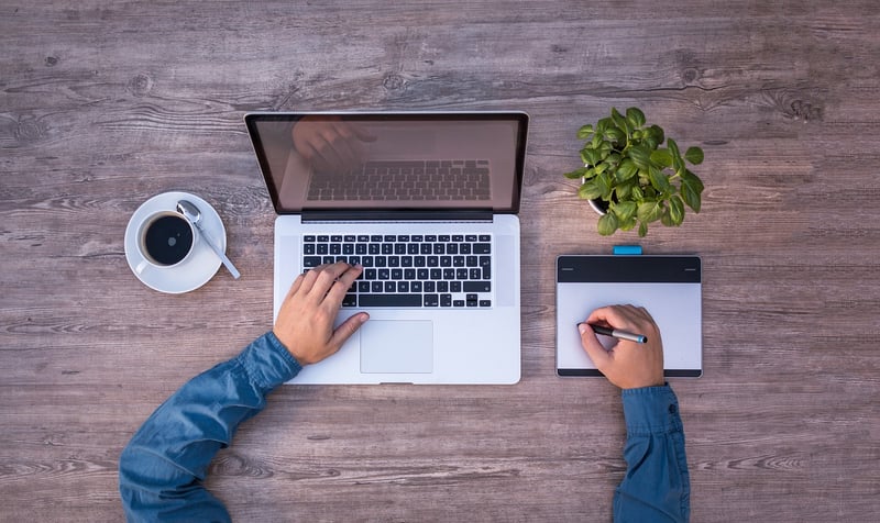 UX/UI Designer